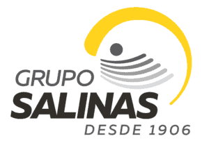 Grupo Salinas